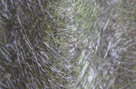 Lacey Green fibreglass roof work